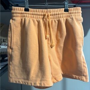 Aritzia TNA The Cozy Fleece Sweat Shorts